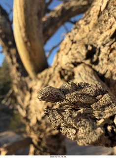Utah - Canyonlands National Park