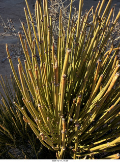 Utah - Canyonlands National Park
