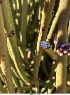 Utah - Canyonlands National Park