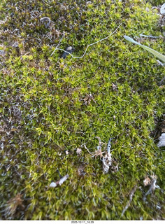 Utah - Canyonlands National Park