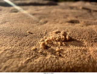 Utah - Canyonlands National Park