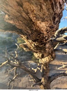 Utah - Canyonlands National Park