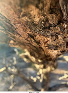 Utah - Canyonlands National Park