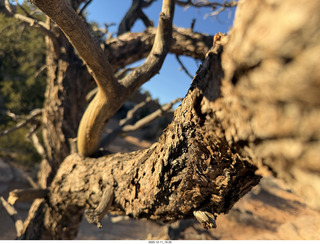 Utah - Canyonlands National Park