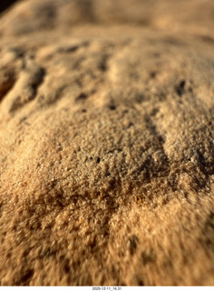 Utah - Canyonlands National Park