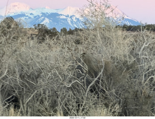Utah - Canyonlands National Park