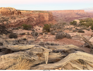 Utah - Canyonlands National Park drive back to Moab