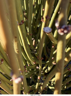 Utah - Canyonlands National Park drive back to Moab