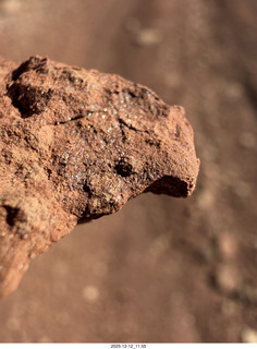 235 a2q. Utah -  Mineral Canyon hike - close-up of rock