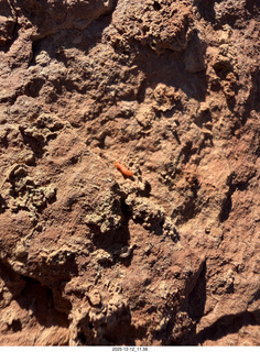 242 a2q. Utah -  Mineral Canyon hike