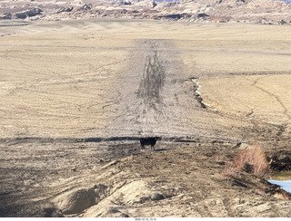360 a2q. aerial - Utah - canyonlands - Temple Mountain
