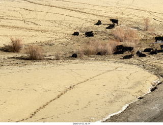 365 a2q. aerial - Utah - canyonlands