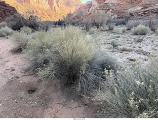 428 a2q. aerial - Utah - canyonlands