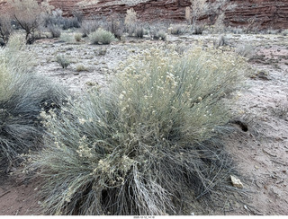 429 a2q. aerial - Utah - canyonlands