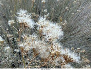 431 a2q. aerial - Utah - canyonlands