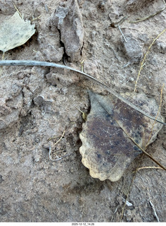 462 a2q. aerial - Utah - canyonlands