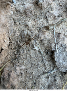 463 a2q. aerial - Utah - canyonlands