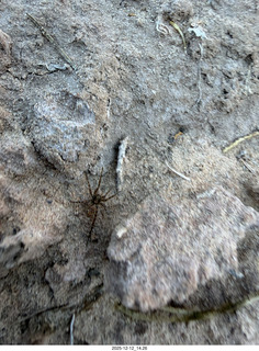 464 a2q. aerial - Utah - canyonlands