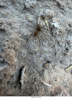 465 a2q. aerial - Utah - canyonlands