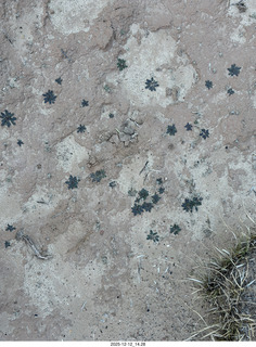 467 a2q. aerial - Utah - canyonlands