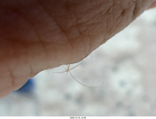 468 a2q. aerial - Utah - canyonlands