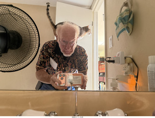 before concert, cat Pickle on my back