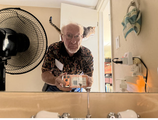 before concert, cat Pickle on my back