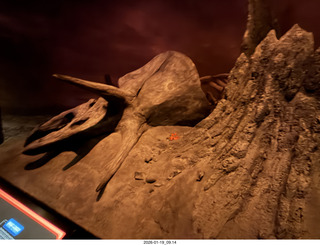 New York City - Manhattan - American Museum of Natural History - Impact, the End of the Dinosaurs