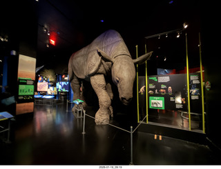 New York City - Manhattan