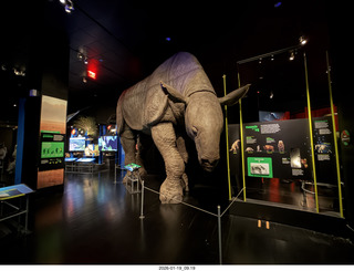 New York City - Manhattan - American Museum of Natural History - Impact, the End of the Dinosaurs