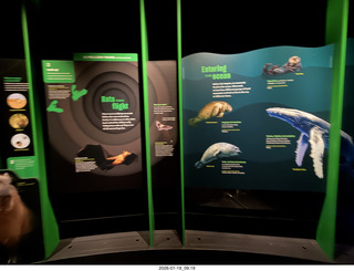 New York City - Manhattan - American Museum of Natural History