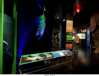 New York City - Manhattan - American Museum of Natural History