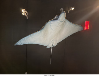 New York City - Manhattan - American Museum of Natural History