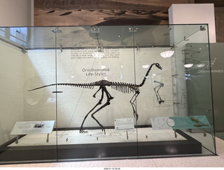 New York City - Manhattan - American Museum of Natural History