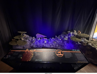 New York City - Manhattan - American Museum of Natural History