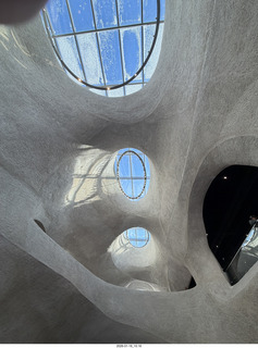 New York City - Manhattan - American Museum of Natural History - bears hibernate