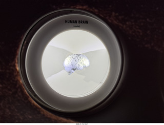 New York City - Manhattan - American Museum of Natural History