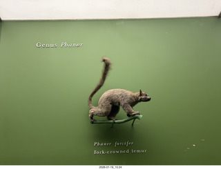 New York City - Manhattan - American Museum of Natural History