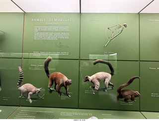 New York City - Manhattan - American Museum of Natural History