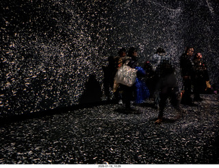 New York City - Manhattan - American Museum of Natural History