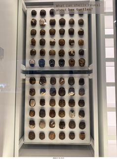 New York City - Manhattan - American Museum of Natural History