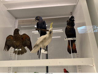 New York City - Manhattan - American Museum of Natural History