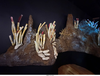 New York City - Manhattan - American Museum of Natural History - immersive