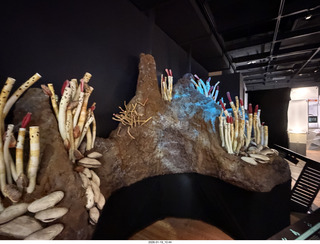 New York City - Manhattan - American Museum of Natural History  - immersive