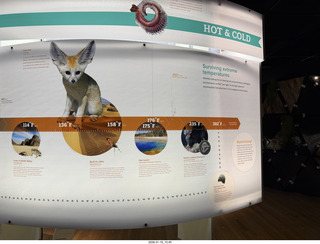 New York City - Manhattan - American Museum of Natural History