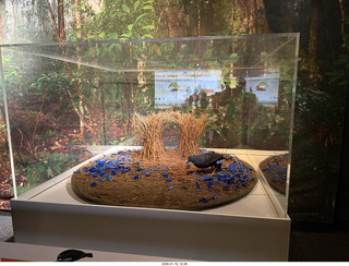 New York City - Manhattan - American Museum of Natural History