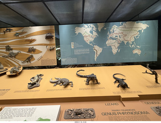 New York City - Manhattan - American Museum of Natural History