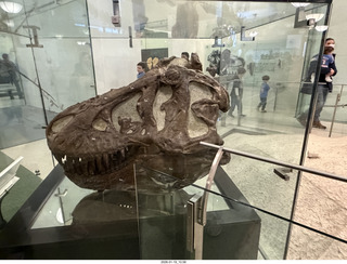 New York City - Manhattan - American Museum of Natural History