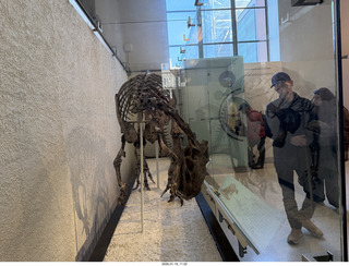 New York City - Manhattan - American Museum of Natural History