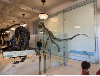 New York City - Manhattan - American Museum of Natural History